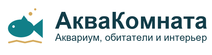 АкваКомната